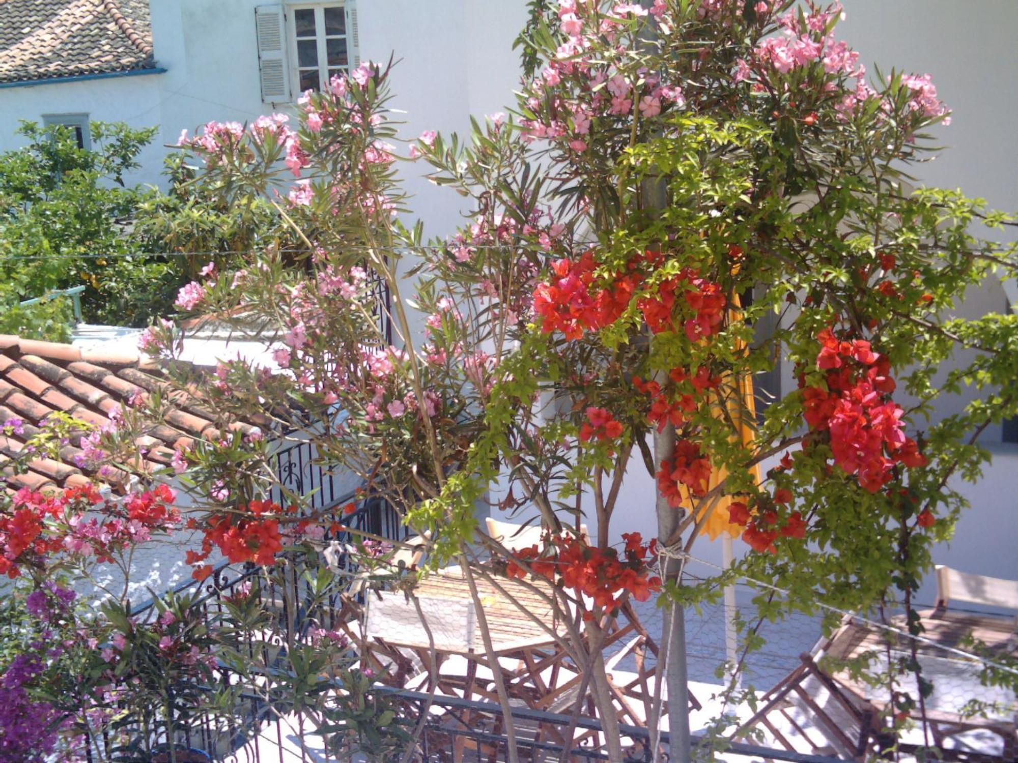Alkionides Hydra Hotel Exterior foto